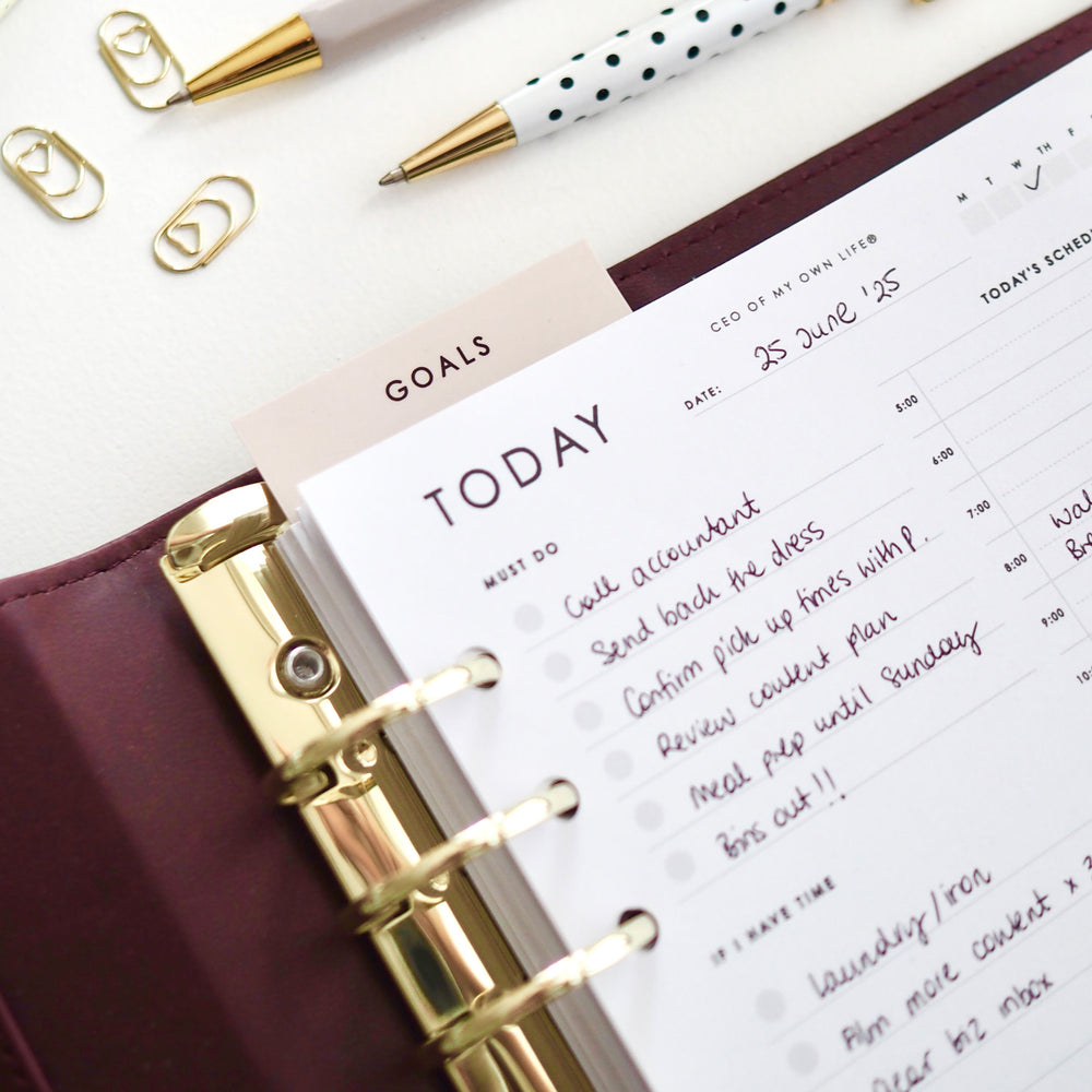 
                  
                    Blush 'Goals' Planner Page Marker for A5 6-Ring Binders, Filofax, Large GM 
Louis Vuitton Agendas - ella iconic® UK
                  
                