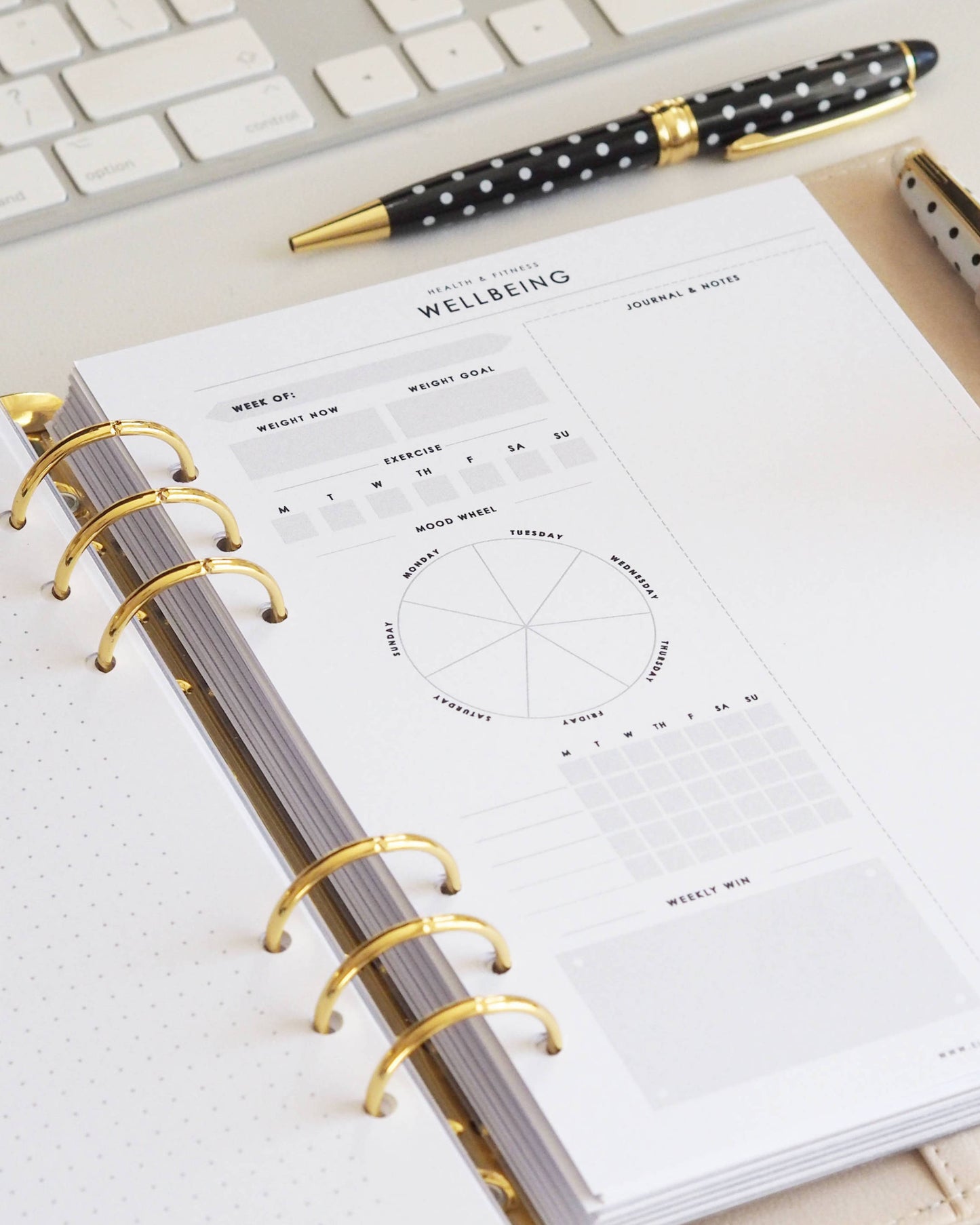 a5-undated_wellbeing_planner_inserts-ceo_of_my_own_life-ellaiconic