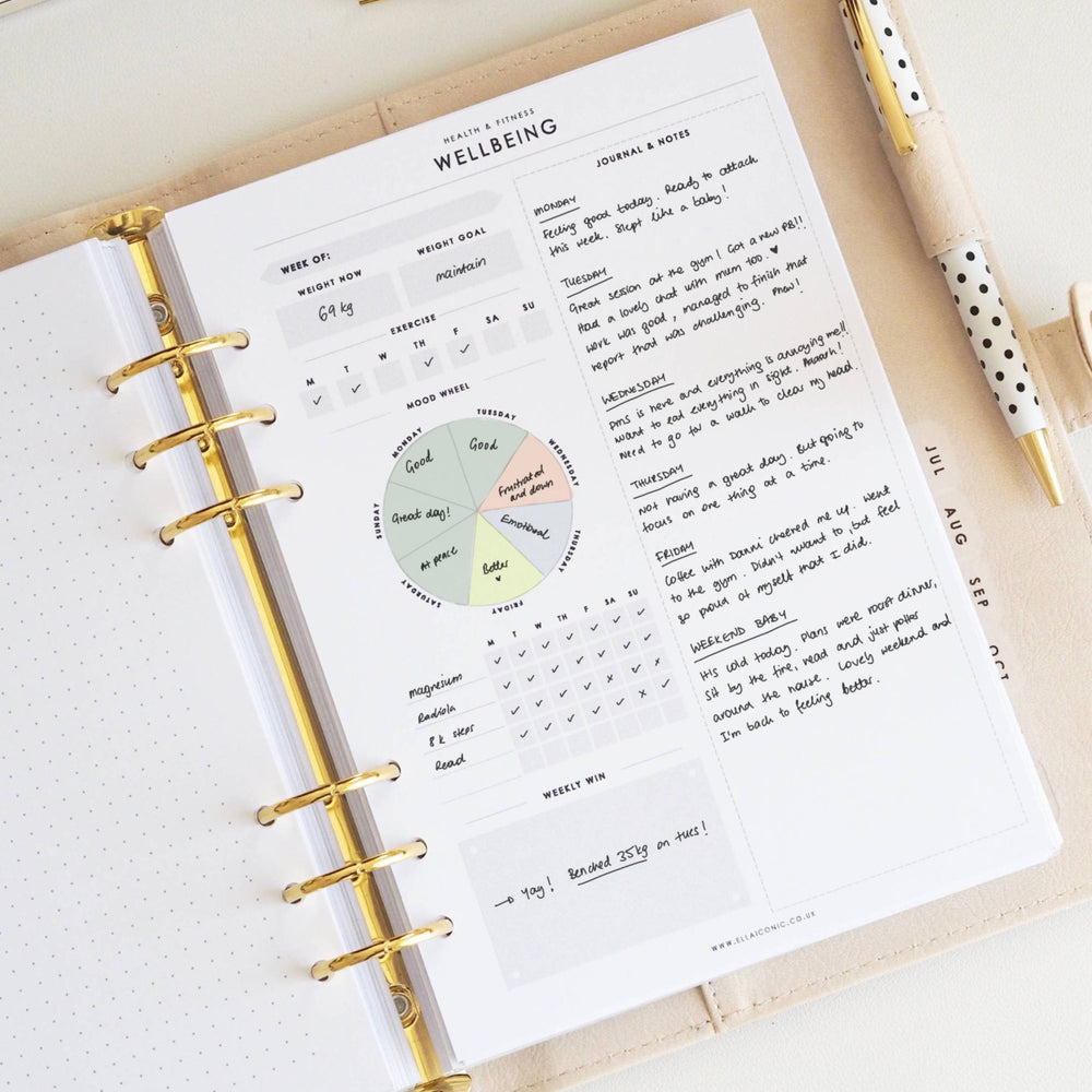 a5-undated_wellbeing_planner_inserts-ceo_of_my_own_life-ellaiconic